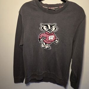 Wisconsin Badgers Sweatshirt Womens Small Gray Embroidered Logos Colosseum